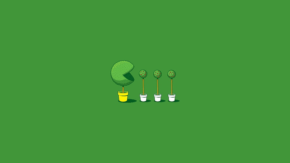 four green leafed plants graphic art HD wallpaper