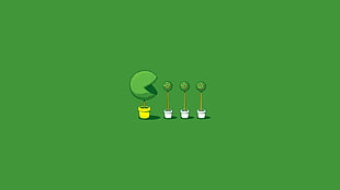 four green leafed plants graphic art