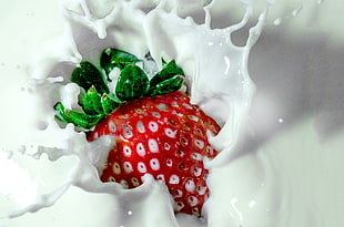 red strawberry sinking in a milk
