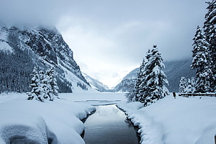 river between snow and trees photography, lake louise HD wallpaper
