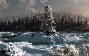 Pine,  River,  Snow,  Winter HD wallpaper