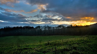 green grass field, Poland, Jelenia Góra, clouds, nature HD wallpaper
