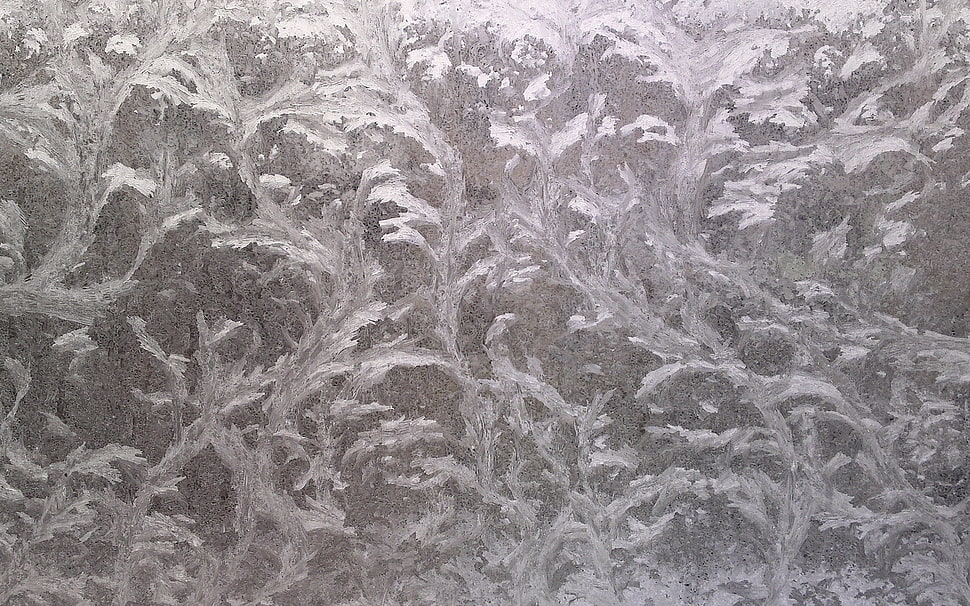 gray and white surface HD wallpaper