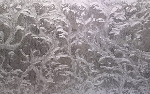 gray and white surface
