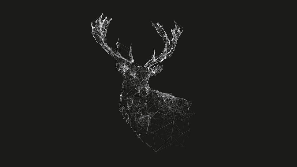 grey deer digital wallpaper HD wallpaper