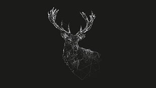 grey deer digital wallpaper