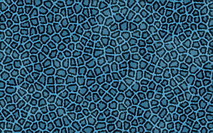 blue and black animal print pattern HD wallpaper