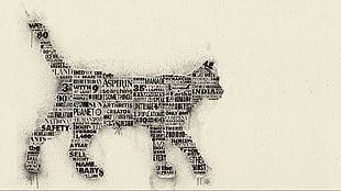 gray animal illustration, typography, cat HD wallpaper