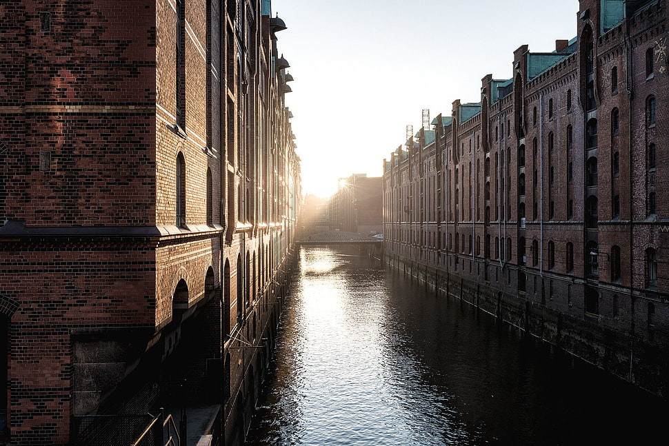 black and white metal frame, sunlight, bricks, building, Germany HD wallpaper