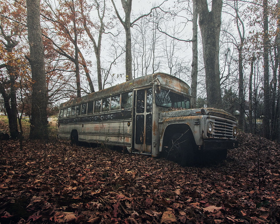 vintage bus in the middle of forest during daytime HD wallpaper
