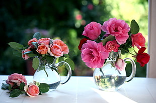 Roses,  Flowers,  Bouquets,  Pots