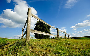 white wooden railing photo during daytime