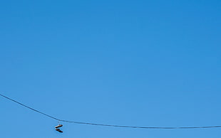 pair of gray low-top shoes, minimalism, blue background, ropes, shoes