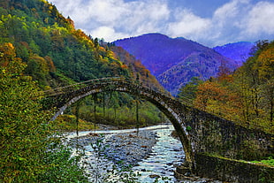 gray concrete arch bridge, photography, nature, bridge, fall