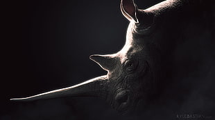 gray rhinoceros, rhino