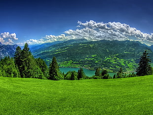 green grass field, trees, clouds and mountains during daytime under blue sky photo