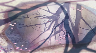 5 Centimeters Per Second, puddle, reflection, flower petals