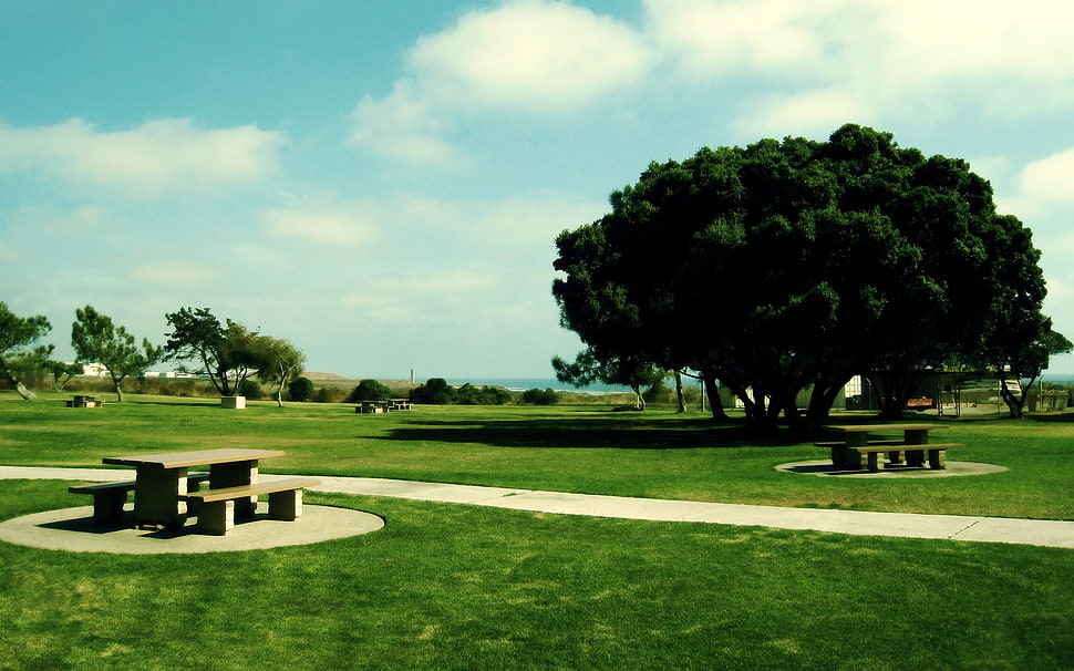 brown wooden picnic table, park, bench, table, grass HD wallpaper