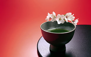 round black bowl with white petaled flower
