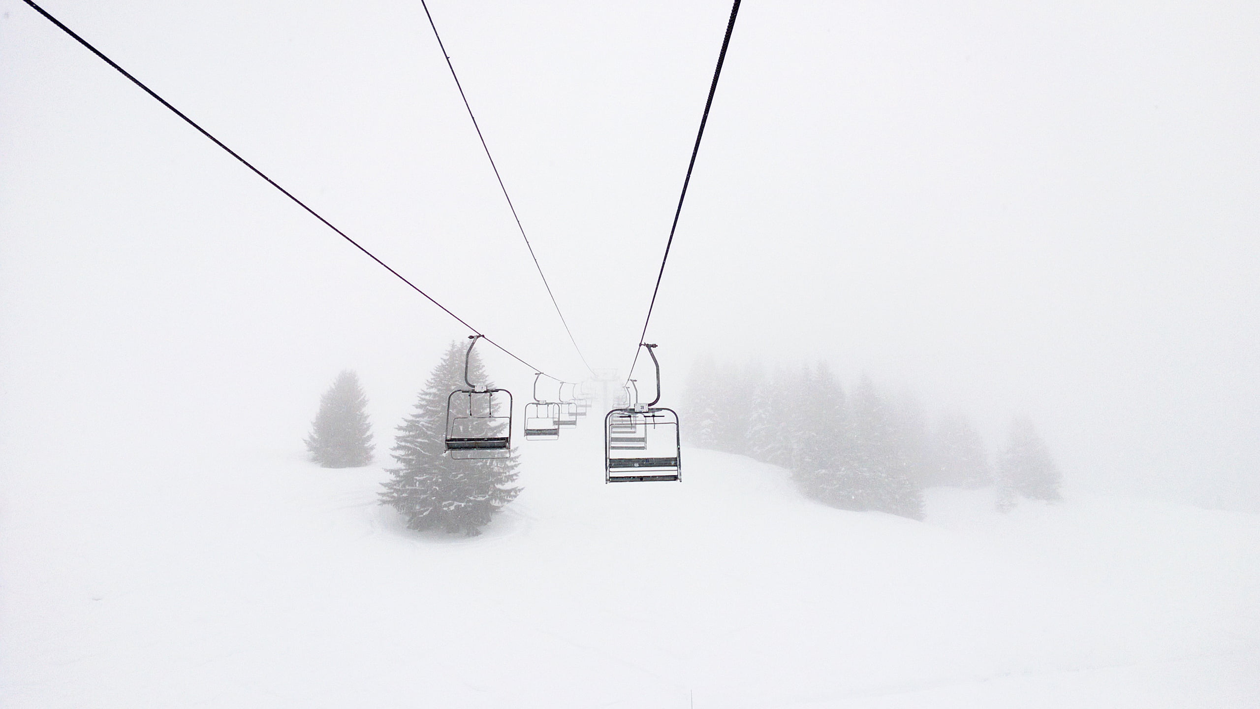 black ski lif, snow, ski lift, ski lifts, pine trees