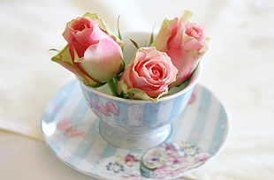 white and pink rose on white and blue ceramic teacup and saucer