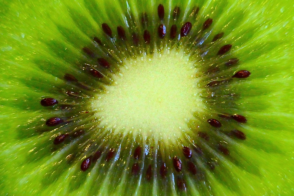 close up photo of green fruit with black seeds HD wallpaper