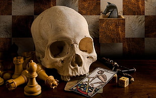 white human skull with chess pieces and tarot card