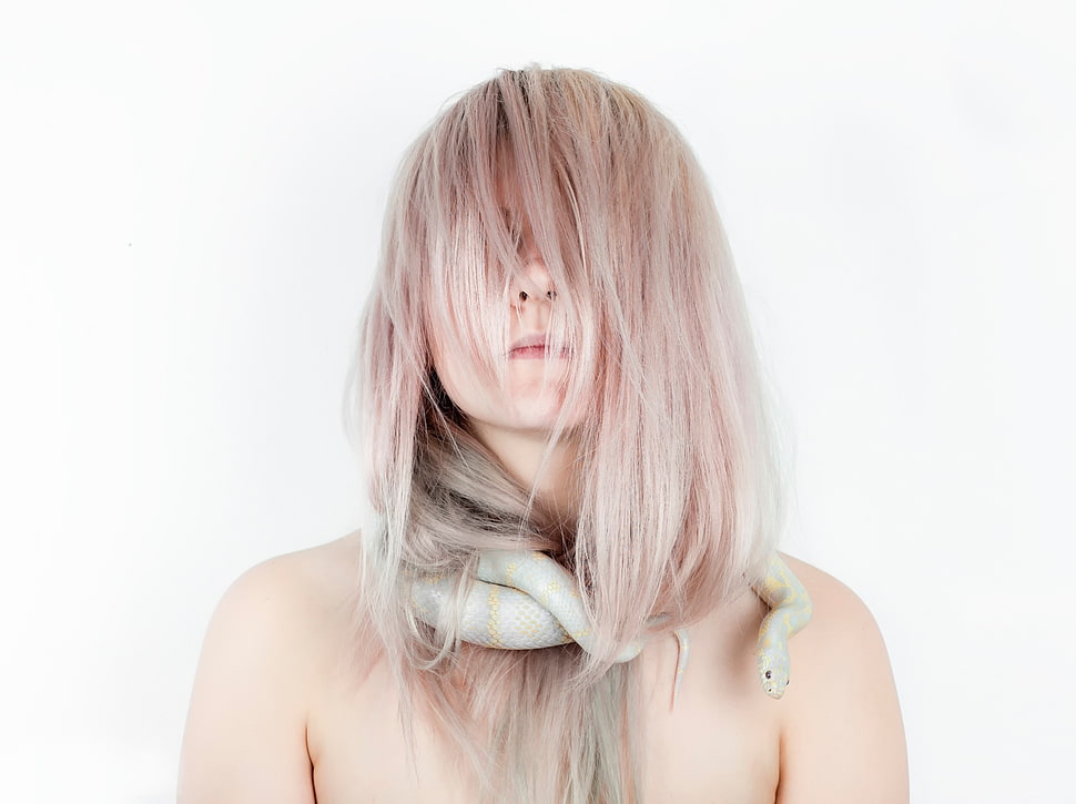 white snake, model HD wallpaper