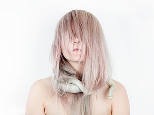 white snake, model