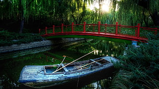 blue paddle boat, bridge, boat, nature, water HD wallpaper