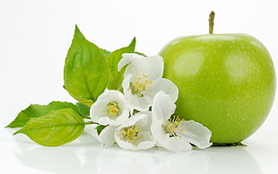 green unripe apple