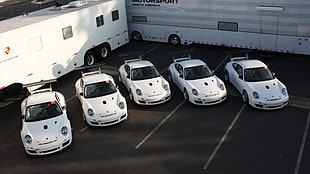 five white Porsche 911 coupes, Porsche, car, white cars