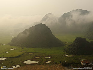hills and rice field, landscape, nature, National Geographic, Vietnam