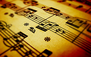 shallow focus photography of musical note