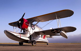 white and red monoplane, airplane, Grumman J2F Duck, vehicle