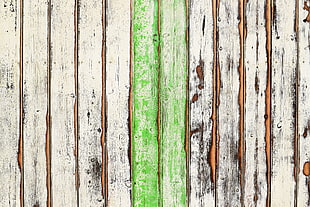 Wooden,  Paint,  Shabby HD wallpaper