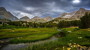 green grass field, California, landscape, mountains