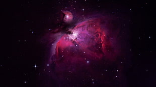 pink and purple nebula, space, space art, digital art