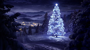 snow covered area with christmas tree