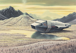 gray aircraft illustration, spaceship, science fiction