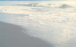 seashore during daytime view during daytime close-up photo HD wallpaper