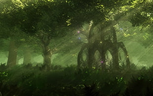 forest trees wallpaper, forest