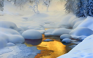 lake surrounded by snow, nature, landscape, creeks, forest