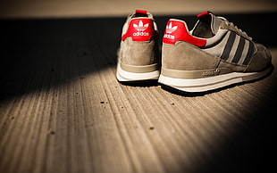 pair of gray suede Adidas shoes HD wallpaper