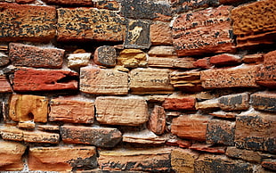 closeup photo of brown wall