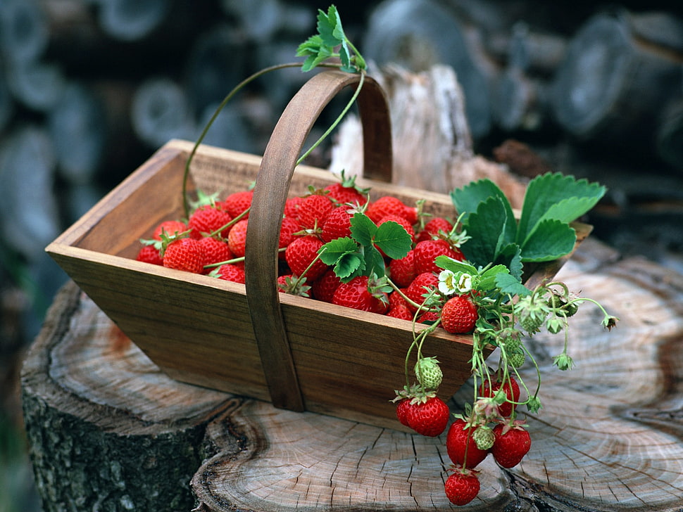 strawberry on brown wooden basket HD wallpaper