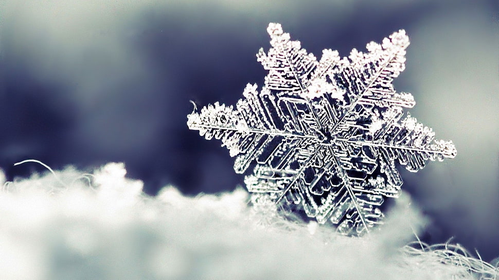 white snowflakes HD wallpaper