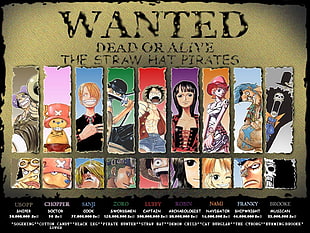Wanted One Piece poster, One Piece, Monkey D. Luffy, Usopp, Tony Tony Chopper HD wallpaper