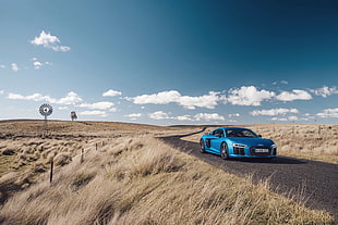 blue car near brown grass field at daytime HD wallpaper