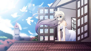 white haired girl wearing dress on window anime character illustration